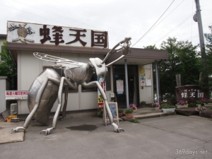 蜂の巣アートがずらり!長野『蜂天国』