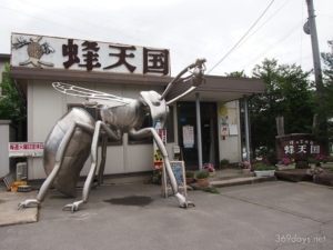 蜂の巣アートがずらり！長野『蜂天国』