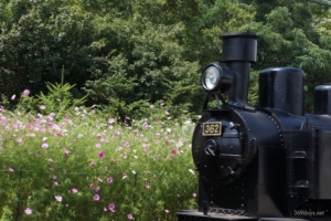 野辺山SLランド・JR鉄道最高地点に行ってきました!~夏の野辺山散策~