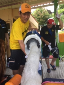 別府でワクワク!「湯~園地」に参加したぴょん! ~その①ジェットコースター編~